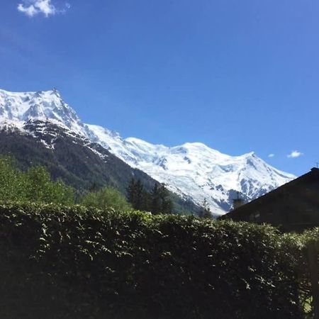 Studio Au Calme Avec Jardin Et Vue Mont-Blanc Chamonix Dış mekan fotoğraf