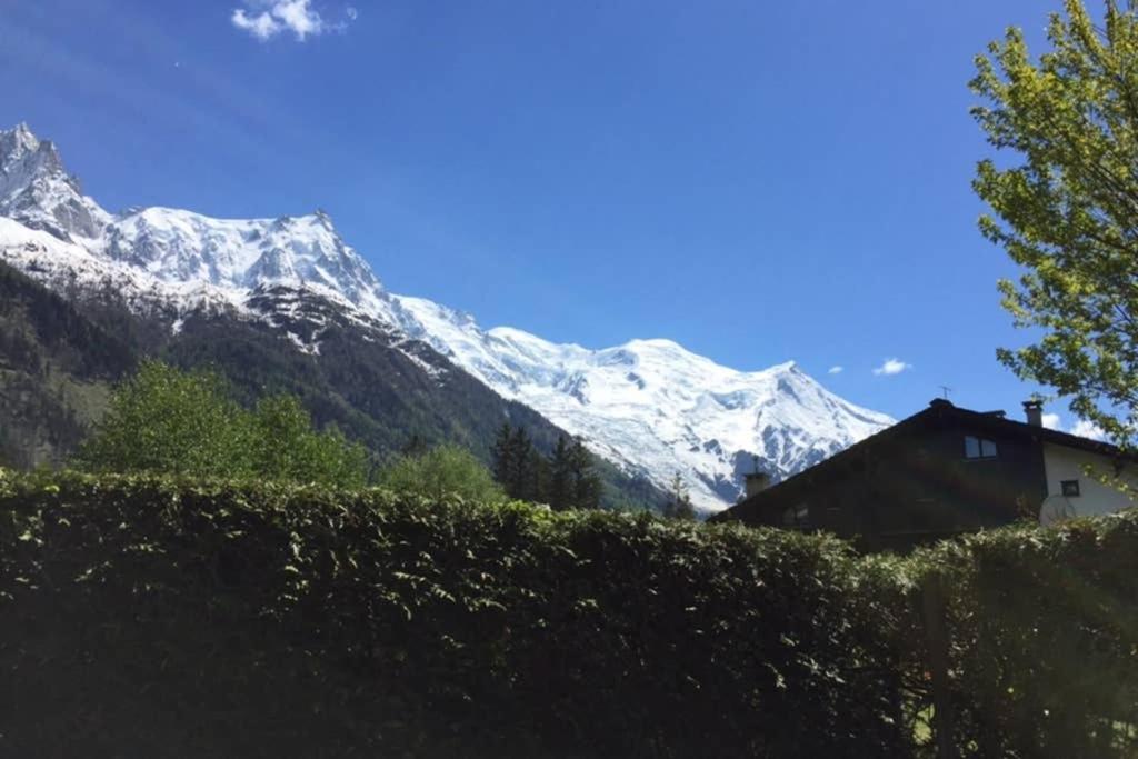 Studio Au Calme Avec Jardin Et Vue Mont-Blanc Chamonix Dış mekan fotoğraf