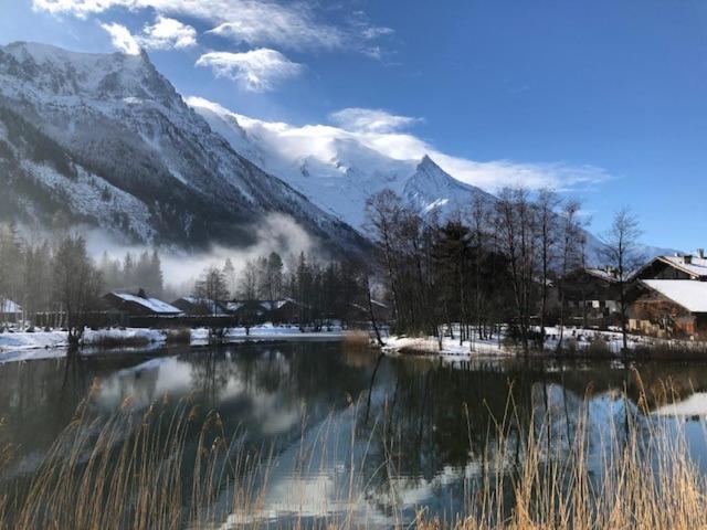 Studio Au Calme Avec Jardin Et Vue Mont-Blanc Chamonix Dış mekan fotoğraf