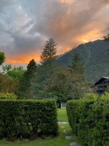Studio Au Calme Avec Jardin Et Vue Mont-Blanc Chamonix Dış mekan fotoğraf