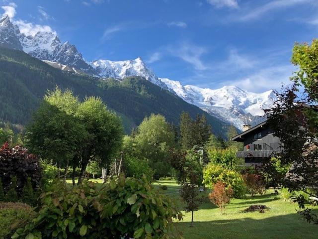 Studio Au Calme Avec Jardin Et Vue Mont-Blanc Chamonix Dış mekan fotoğraf